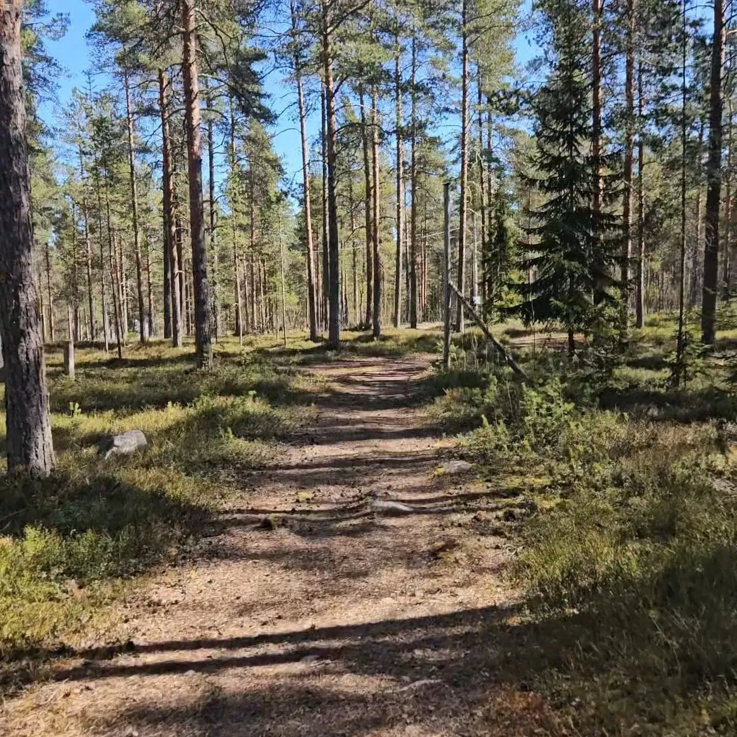 Nalta Backyard Ultra 2025